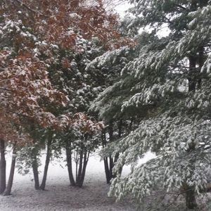 Meet your Posher, Tabatha